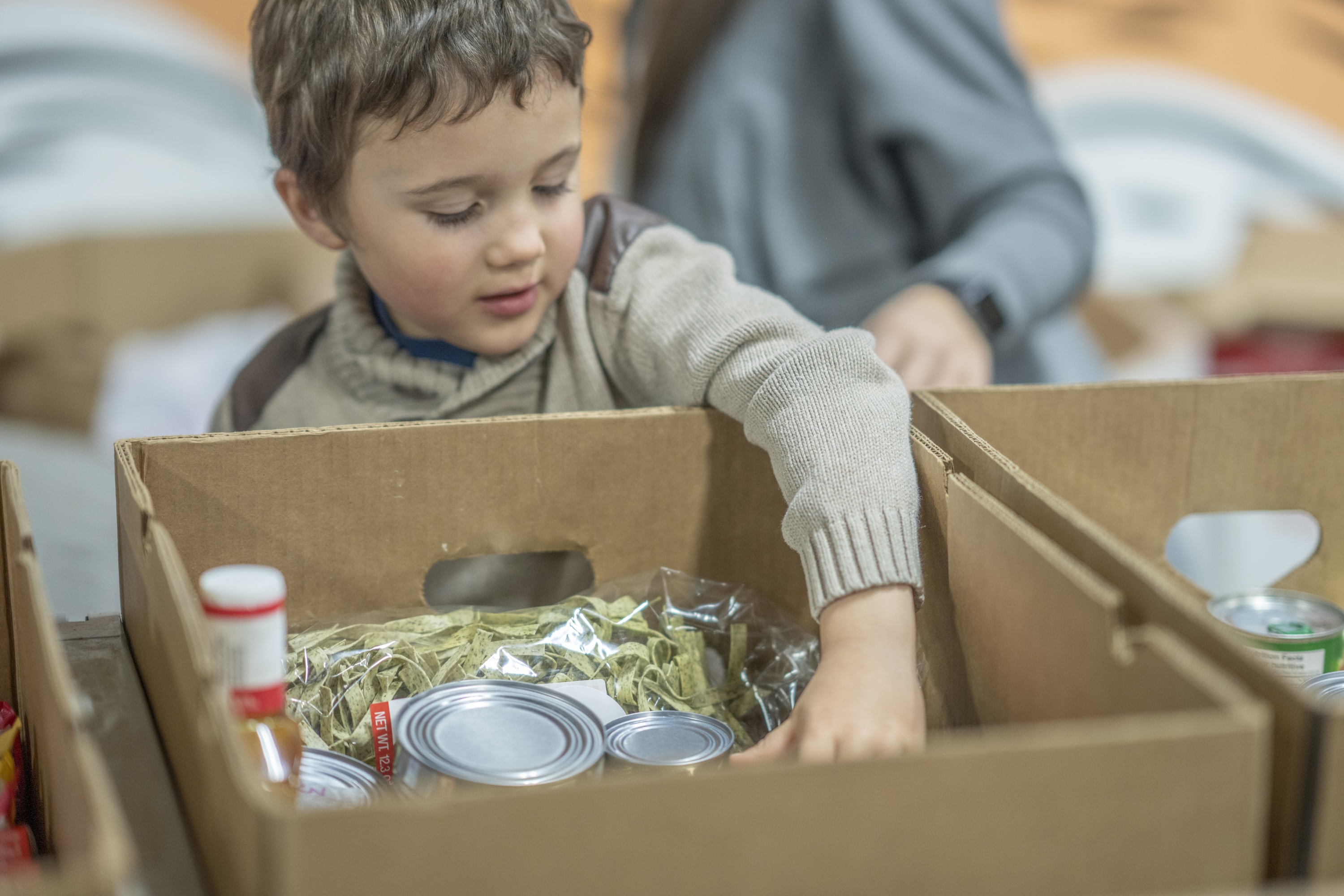 young volunteer food bank